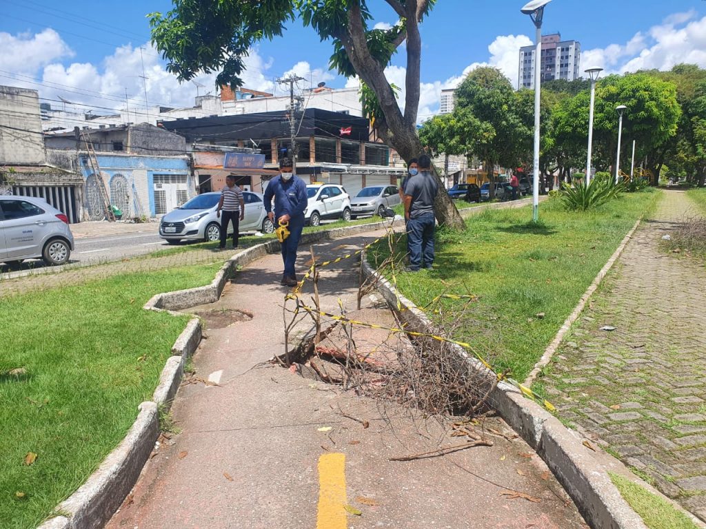 Ciclovia da Marquês de Herval começa a receber manutenção